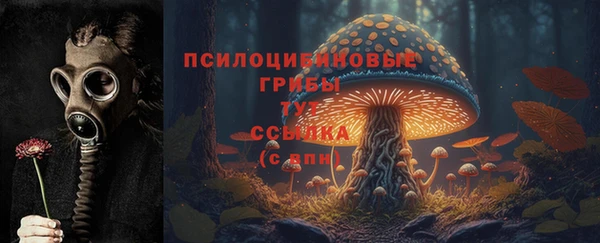 COCAINE Костерёво