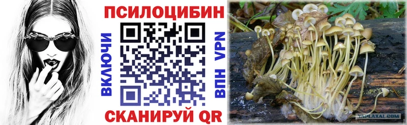 Псилоцибиновые грибы прущие грибы  Купить  Городец 